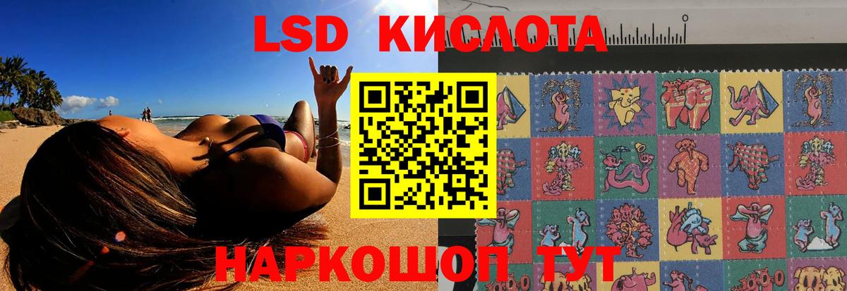 БУТИРАТ Кингисепп